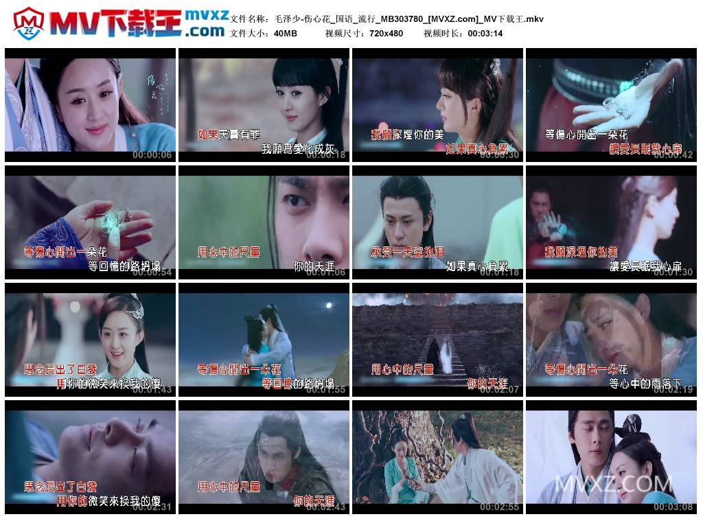 毛泽少-伤心花_国语_流行_MB303780